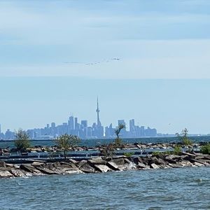 Meet your Posher, Saad